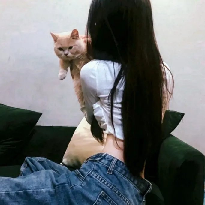 复仇天使